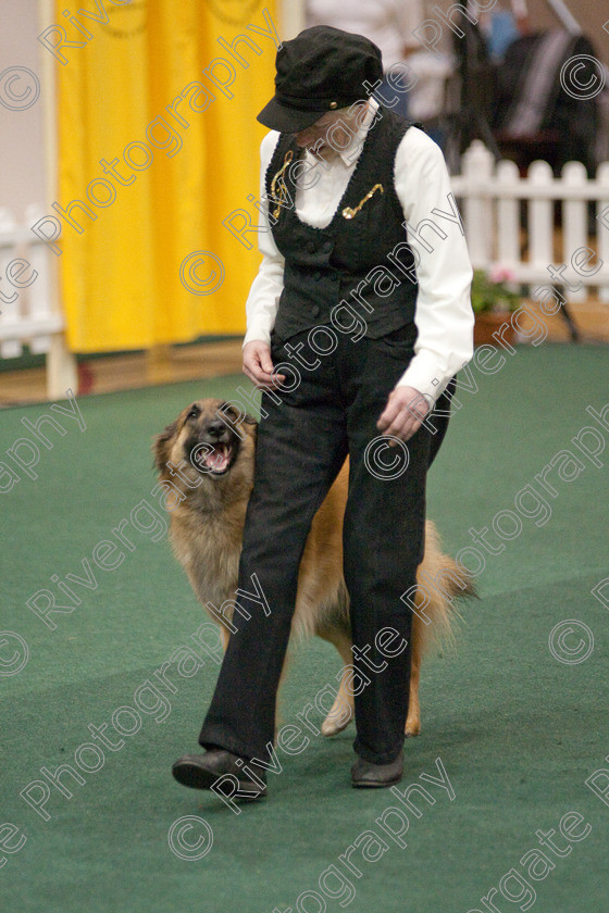 AWC 3687 
 Keywords: 2009, England, UK, Worcester, Worcestershire, april, competition, erica hyde, heelwork to music, westglen