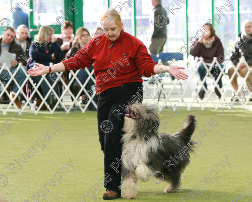 AWC 0526 
 Keywords: heelwork to music competition, rugby dog club