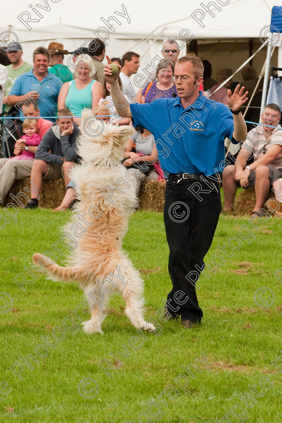 AWC 1390 
 Wanborough Country Show, August 2009, Richard Curtis' K9freestyle Dancing Dog Arena Display 
 Keywords: 2009, arena demonstration, arena display, august, canine freestyle, dog dancing, dog display, England, heelwork to music, k9freestyle, Lynch Field, Lynch Field, Wanborough, Wiltshire, England, UK, richard curtis, UK, wanborough country show, Wanborough, Wiltshire