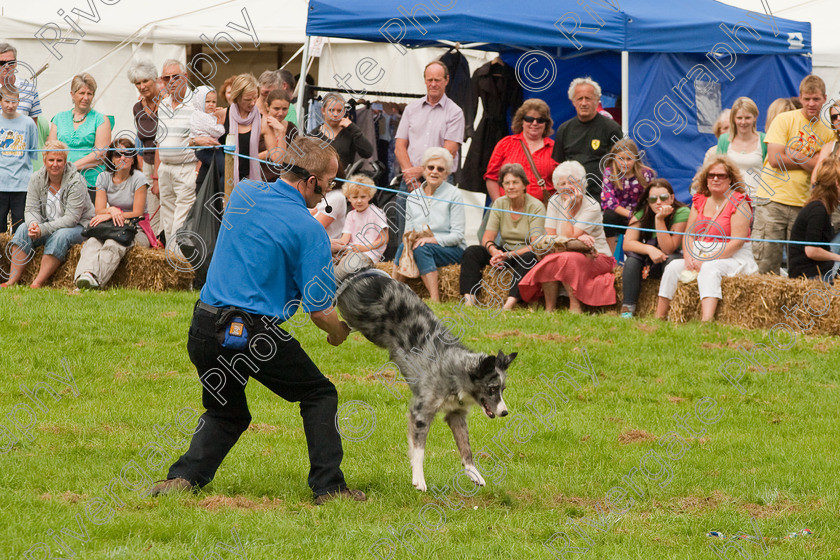 AWC 1484 
 Wanborough Country Show, August 2009, Richard Curtis' K9freestyle Dancing Dog Arena Display 
 Keywords: 2009, arena demonstration, arena display, august, canine freestyle, dog dancing, dog display, England, heelwork to music, k9freestyle, Lynch Field, Lynch Field, Wanborough, Wiltshire, England, UK, richard curtis, UK, wanborough country show, Wanborough, Wiltshire