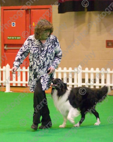 IMG 8512 
 Heelwork to Music and Canine Freestyle Competitions held at Westglen in April 2008 
 Keywords: 2008, Bilford Road, Perdiswell Leisure Centre, WR3 8DX, Worcester, april, competition, heelwork to music, westglen, paula ackary