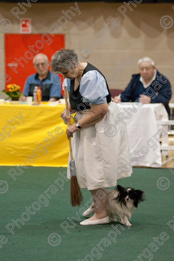 AWC 4041 
 Keywords: 2009, England, Jeanette Fyfe, UK, Worcester, Worcestershire, april, competition, heelwork to music, westglen