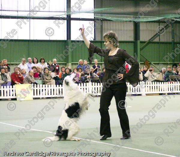 IMG 0937 
 Heelwork to Music and Canine Freestyle events and competition in 2005 held at the Connexion Leisure Centre, Ryton-on-Dunsmore, Coventry. 
 Keywords: 2005, UK, competition, coventry, dog, dog dancing, dog sport, february, gina pink, heelwork to music, k9freestyle, ryton on dunsmore