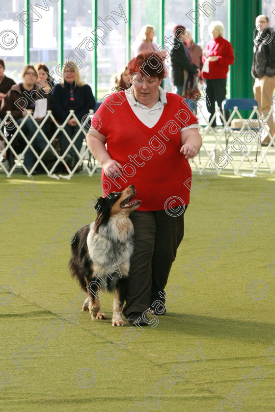 AWC 0558 
 Keywords: heelwork to music competition, rugby dog club