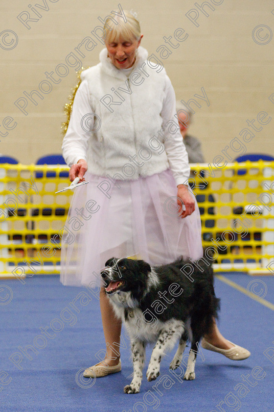 AWC 6814 
 Keywords: 2009, Ann Derizzio, Barnard Castle, Ceri Cariad, Class 6b, County Durham, DL12 8DS, Heather Smith, Judges: Cathy Bates, May, Northern Mutts N Music, Royal Canin, Strathmore Road, Teesdale Sports Centre, canine freestyle, competition, heelwork to music, margaret booth, working sheepdog