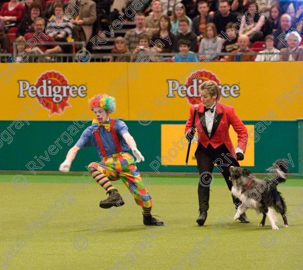 IMG 8073 
 Keywords: 2008, Arena, Display, NEC, birmingham, canine freestyle, crufts, dancing, dogs, heelwork to music, htm, march, performance, mary ray, richard curtis