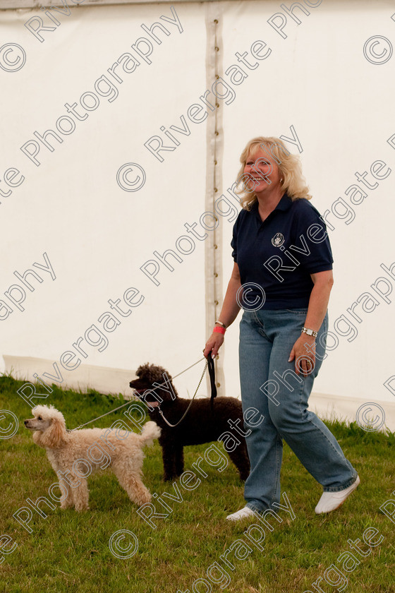 AWC 8985 
 Keywords: 2009, England, June, MDS Ltd, Paws in the Park, UK, broadlands, hampshire, heelwork to music competition, paws n music, romsey