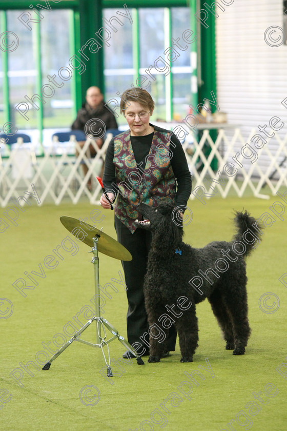 AWC 0233 
 Keywords: heelwork to music competition, rugby dog club