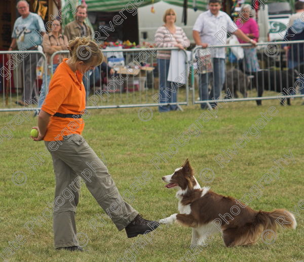 IMG 0201-01 
 Paws in the Park, 2005 MDS Shows Ltd Canford Park Arena, Poole, Dorset.