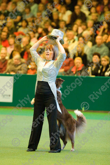 IMG 7574 
 Keywords: 2008, Arena, Display, NEC, birmingham, canine freestyle, crufts, dancing, dogs, heelwork to music, htm, march, performance