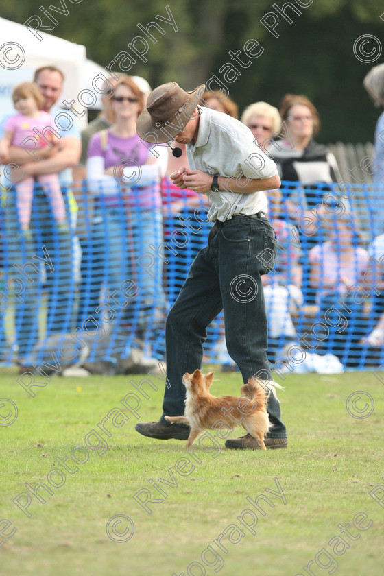 AWC 7059 
 Keywords: 2010, Chobham, Millbrook Animal Centre, RSPCA, Richard Curtis, arena demonstration, september