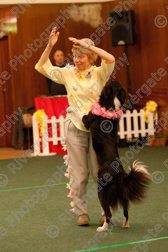 AWC 2816 
 Keywords: 2010, Dawn Smith, Intermediate Freestyle Part 2, april, heelwork to music, westglen