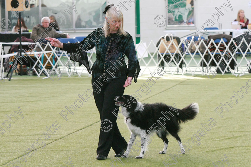 AWC 0537 
 Keywords: heelwork to music competition, rugby dog club