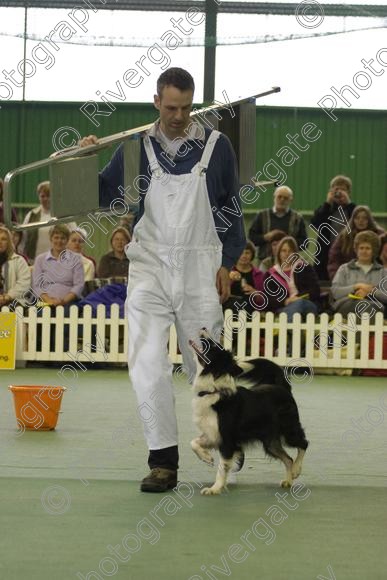 IMG 0113 
 Heelwork to Music and Canine Freestyle events and competition in 2006 held at the Connexion Leisure Centre, Ryton-on-Dunsmore, Coventry. 
 Keywords: 2006, UK, competition, coventry, dog, dog dancing, dog sport, february, heelwork to music, k9freestyle, ryton on dunsmore