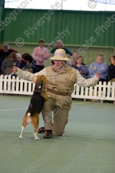 IMG 0023 
 Heelwork to Music and Canine Freestyle events and competition in 2006 held at the Connexion Leisure Centre, Ryton-on-Dunsmore, Coventry. 
 Keywords: 2006, UK, competition, coventry, dog, dog dancing, dog sport, february, heelwork to music, k9freestyle, ryton on dunsmore