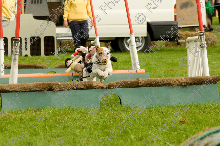 AWC 1845 
 Keywords: England, Lynch Field, UK, Wanborough, Wiltshire, arena demonstration, arena display, cyril the squirrel, terrier racing, wanborough country show