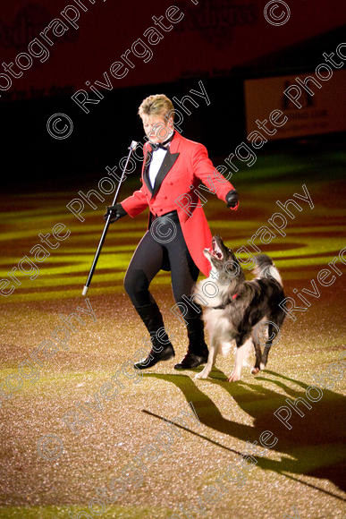 IMG 8228 
 Keywords: 2008, Arena, Display, NEC, birmingham, canine freestyle, crufts, dancing, dogs, heelwork to music, htm, march, performance