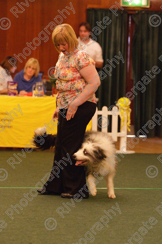 AWC 2025 
 Keywords: 2010, Lorraine Peace, april, competition, heelwork to music, intermediate heelwork to music part 1, westglen