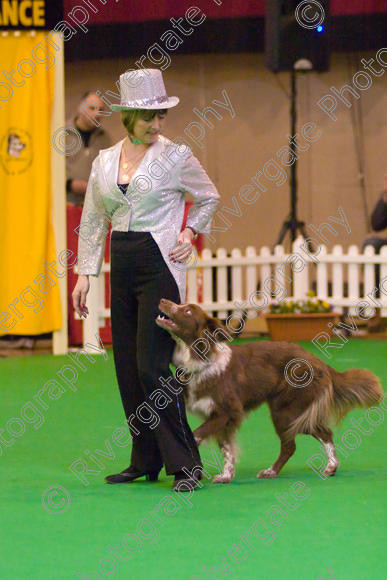 IMG 8627 
 Heelwork to Music and Canine Freestyle Competitions held at Westglen in April 2008 
 Keywords: 2008, Bilford Road, Perdiswell Leisure Centre, WR3 8DX, Worcester, april, cath hardman, competition, heelwork to music, westglen, kath hardman, advanced, htm