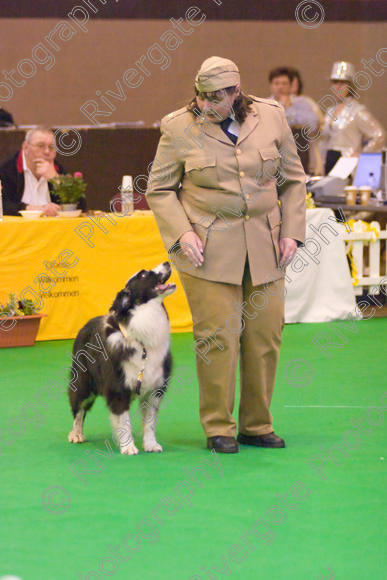 IMG 8618 
 Heelwork to Music and Canine Freestyle Competitions held at Westglen in April 2008 
 Keywords: 2008, Bilford Road, Perdiswell Leisure Centre, WR3 8DX, Worcester, april, competition, heelwork to music, westglen, jackie de jong, advanced, htm