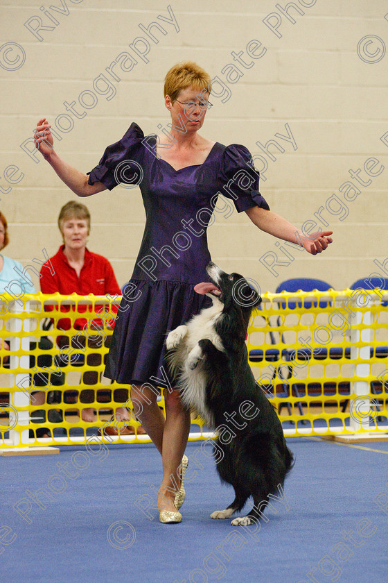 AWC 6143 
 Keywords: 2009, Advanced Heelwork to Music, Barnard Castle, Cathy Bates, County Durham, Crufts Semi-final Qualifier, DL12 8DS, May, Northern Mutts N Music, Royal Canin, Rusnsol Ruby, Strathmore Road, Teesdale Sports Centre, canine freestyle, competition, heelwork to music, working sheepdog