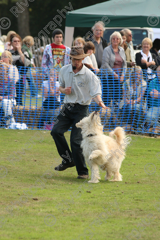 AWC 7045 
 Keywords: 2010, Chobham, Millbrook Animal Centre, RSPCA, Richard Curtis, arena demonstration, september