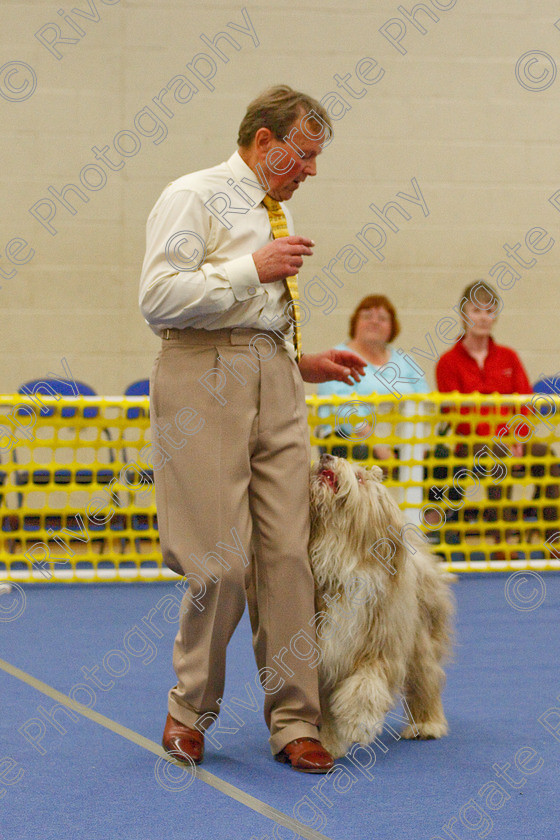 AWC 6165 
 Keywords: 2009, Advanced Heelwork to Music, Barnard Castle, Bramble Sweet, County Durham, Crufts Semi-final Qualifier, DL12 8DS, May, Northern Mutts N Music, Royal Canin, Soul Lady, Strathmore Road, Teesdale Sports Centre, barry bray, bearded collie, canine freestyle, competition, heelwork to music