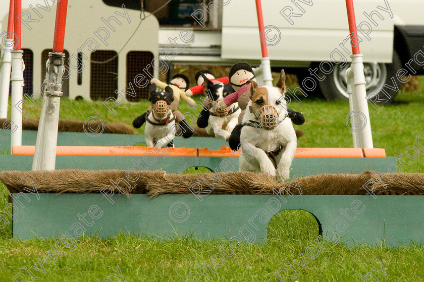 AWC 1852 
 Keywords: England, Lynch Field, UK, Wanborough, Wiltshire, arena demonstration, arena display, cyril the squirrel, terrier racing, wanborough country show