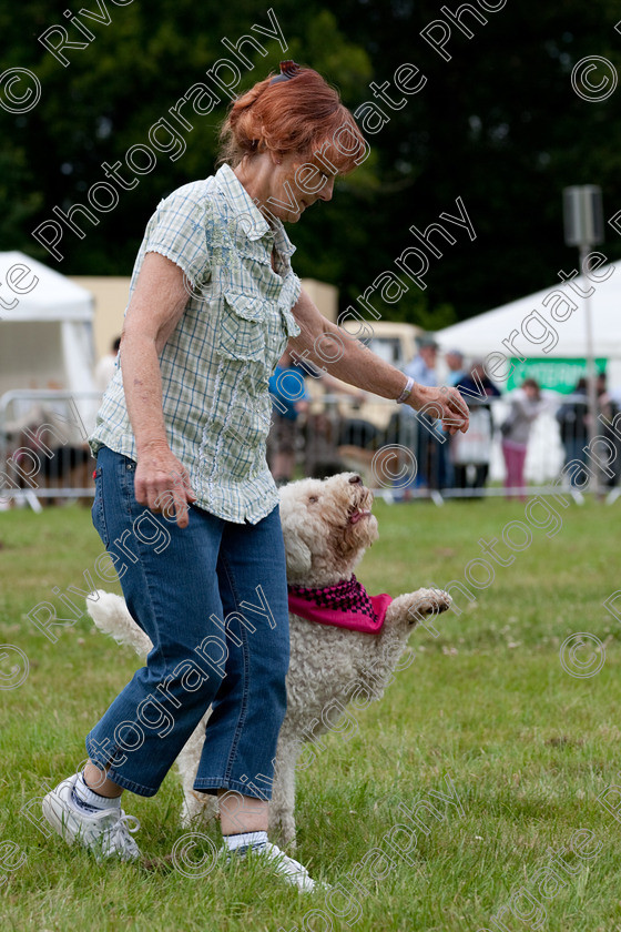 AWC 7885 
 Keywords: 2009, England, June, MDS Ltd, Paws in the Park, UK, broadlands, dog, eileen, hampshire, lilly, romsey, white