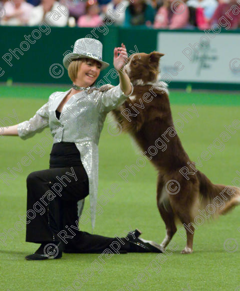 IMG 7583 
 Keywords: 2008, Arena, Display, NEC, birmingham, canine freestyle, crufts, dancing, dogs, heelwork to music, htm, march, performance