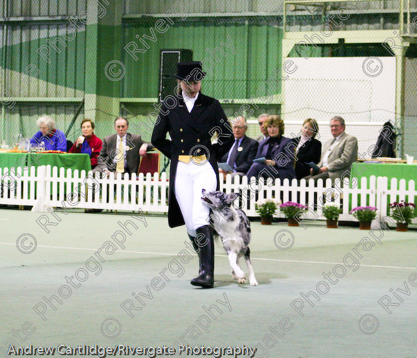 IMG 1087 
 Heelwork to Music and Canine Freestyle events and competition in 2005 held at the Connexion Leisure Centre, Ryton-on-Dunsmore, Coventry. 
 Keywords: 2005, UK, competition, coventry, dog, dog dancing, dog sport, february, heelwork to music, k9freestyle, ryton on dunsmore, tina humphrey