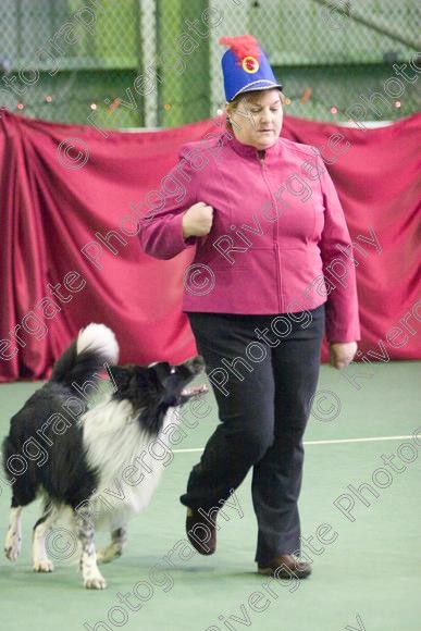 IMG 2728 
 Paws n Music, Heelwork to Music competition held at Ryton on Dunsmore, Coventry. 
 Keywords: 2008, canine freestyle, competition, connexions leisure centre, coventry, dancing with dogs, december, freestyle, heelwork to music, january, paws and music, paws n music, ryton, ryton on dunsmore, Kay Laurence, border collie