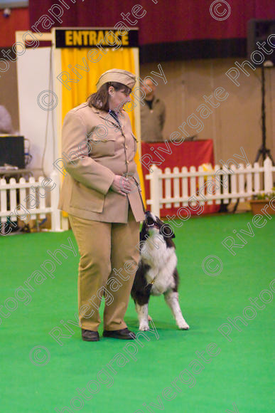 IMG 8617 
 Heelwork to Music and Canine Freestyle Competitions held at Westglen in April 2008 
 Keywords: 2008, Bilford Road, Perdiswell Leisure Centre, WR3 8DX, Worcester, april, competition, heelwork to music, westglen, jackie de jong, advanced, htm