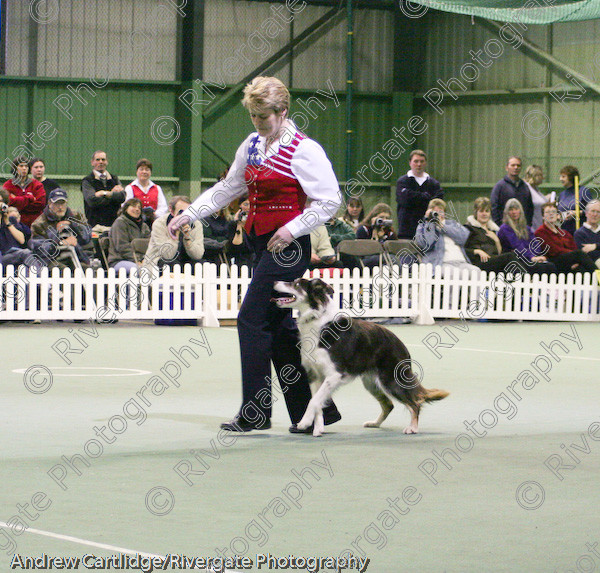 IMG 1112 
 Heelwork to Music and Canine Freestyle events and competition in 2005 held at the Connexion Leisure Centre, Ryton-on-Dunsmore, Coventry. 
 Keywords: 2005, UK, competition, coventry, dog, dog dancing, dog sport, february, heelwork to music, k9freestyle, mary ray, ryton on dunsmore