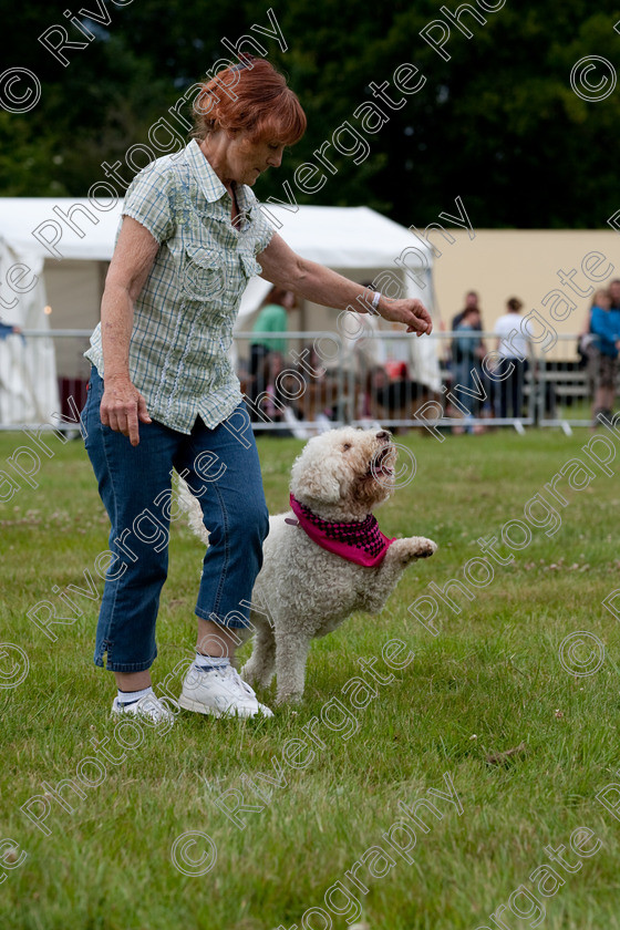 AWC 7883 
 Keywords: 2009, England, June, MDS Ltd, Paws in the Park, UK, broadlands, dog, eileen, hampshire, lilly, romsey, white