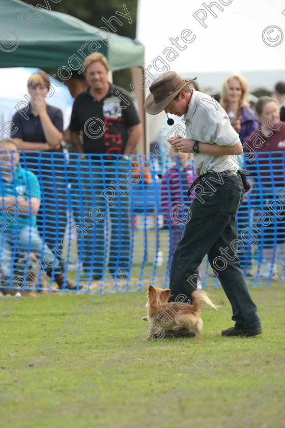 AWC 7051 
 Keywords: 2010, Chobham, Millbrook Animal Centre, RSPCA, Richard Curtis, arena demonstration, september