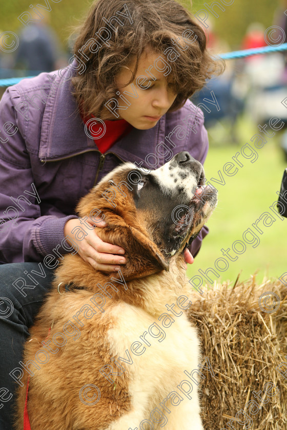 AWC 7625 
 Keywords: ANIMAL HEALTH TRUST, Gala Day, KENTFORD, Lanwades Park, Newmarket, Suffolk, spectators