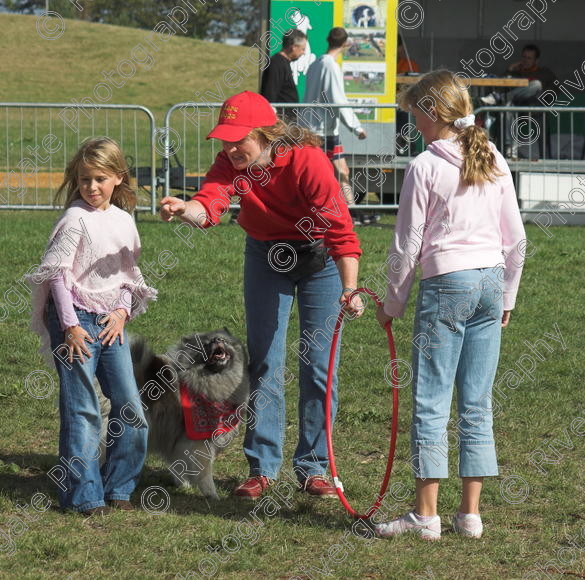 IMG 0286-01 
 Paws in the Park, 2005 MDS Shows Ltd Canford Park Arena, Poole, Dorset.