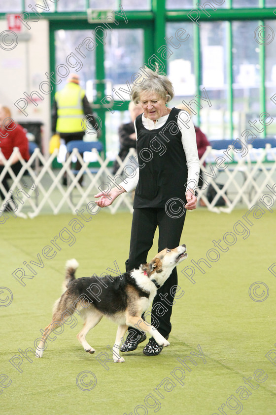 AWC 0225 
 Keywords: heelwork to music competition, rugby dog club