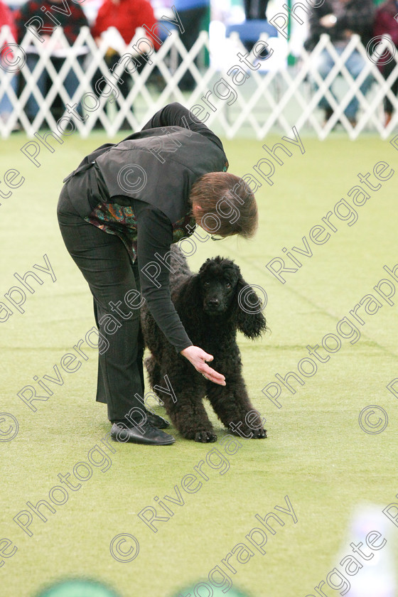 AWC 0258 
 Keywords: heelwork to music competition, rugby dog club