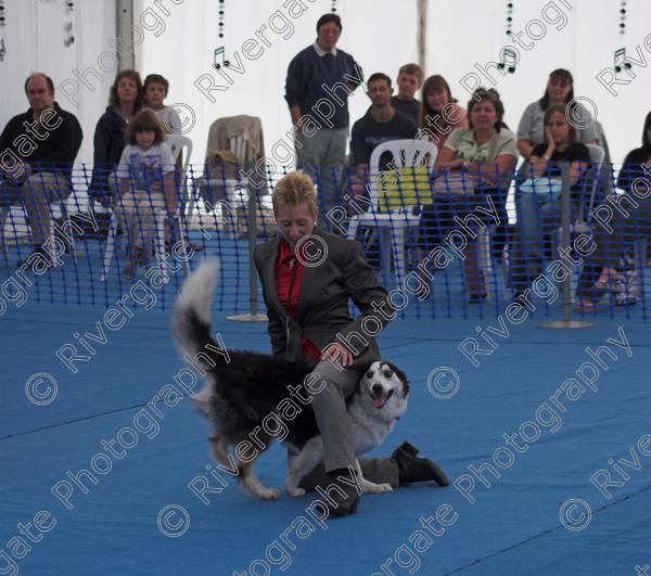 IMG 0010-01 
 Paws in the Park, 2005 MDS Shows Ltd Canford Park Arena, Poole, Dorset. 
 Keywords: 2005, Display, Paws in the Park, arena demonstration, dogs, richard curtis, september