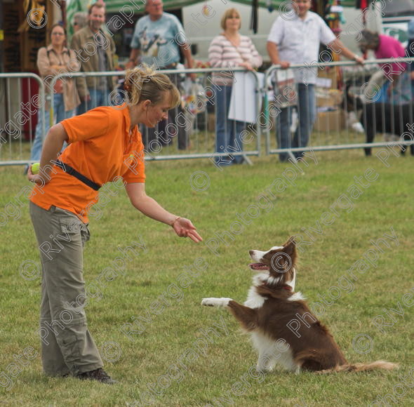 IMG 0200-01 
 Paws in the Park, 2005 MDS Shows Ltd Canford Park Arena, Poole, Dorset.