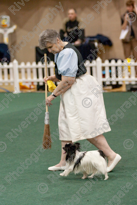 AWC 4042 
 Keywords: 2009, England, Jeanette Fyfe, UK, Worcester, Worcestershire, april, competition, heelwork to music, westglen