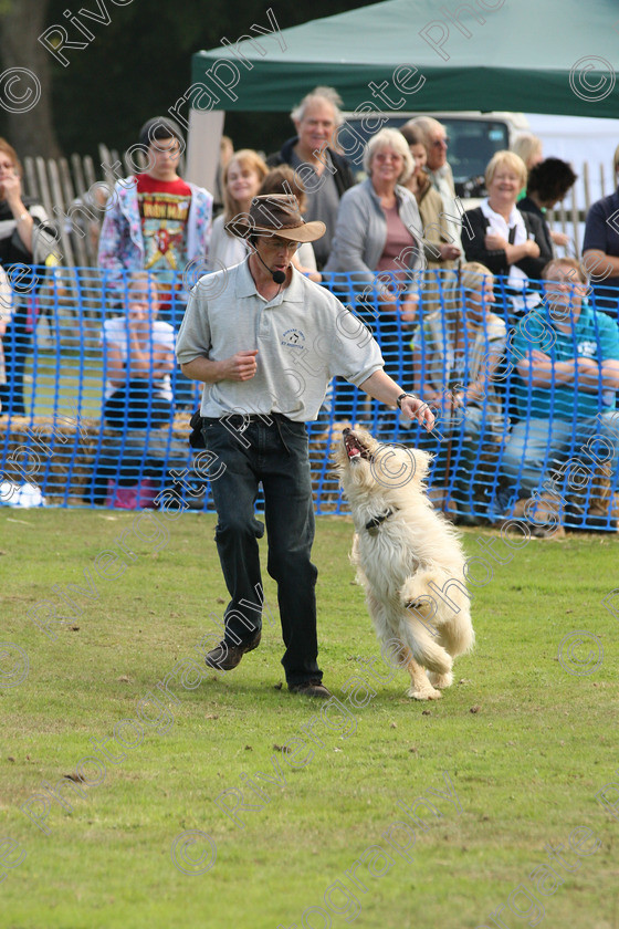 AWC 7041 
 Keywords: 2010, Chobham, Millbrook Animal Centre, RSPCA, Richard Curtis, arena demonstration, september