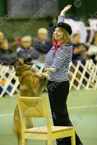 IMG 5832 
 Keywords: 2008, K9 Freestyle, Rugby DTC, canine freestyle, competition, connexions leisure centre, coventry, dancing dogs, february, heelwork to music, , ryton on dunsmore