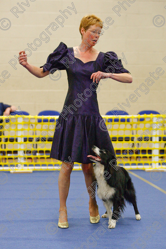 AWC 6129 
 Keywords: 2009, Advanced Heelwork to Music, Barnard Castle, Cathy Bates, County Durham, Crufts Semi-final Qualifier, DL12 8DS, May, Northern Mutts N Music, Royal Canin, Rusnsol Ruby, Strathmore Road, Teesdale Sports Centre, canine freestyle, competition, heelwork to music, working sheepdog