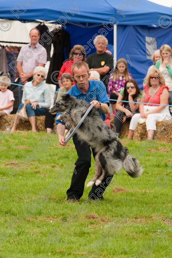 AWC 1477 
 Wanborough Country Show, August 2009, Richard Curtis' K9freestyle Dancing Dog Arena Display 
 Keywords: 2009, arena demonstration, arena display, august, canine freestyle, dog dancing, dog display, England, heelwork to music, k9freestyle, Lynch Field, Lynch Field, Wanborough, Wiltshire, England, UK, richard curtis, UK, wanborough country show, Wanborough, Wiltshire