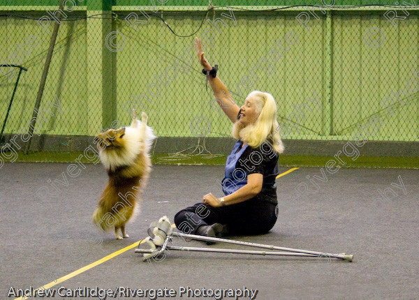 IMG 0075-Edit 
 Heelwork to Music and Canine Freestyle events and competition in 2005 held at the Connexion Leisure Centre, Ryton-on-Dunsmore, Coventry. 
 Keywords: 2005, June, UK, competition, coventry, dog, dog dancing, dog sport, heelwork to music, k9freestyle, ryton on dunsmore, sherida