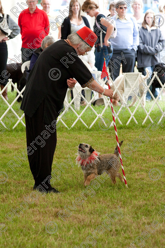 AWC 8223 
 Keywords: 2009, England, June, MDS Ltd, Paws in the Park, UK, broadlands, competition, hampshire, heelwork to music, paws in music, romsey