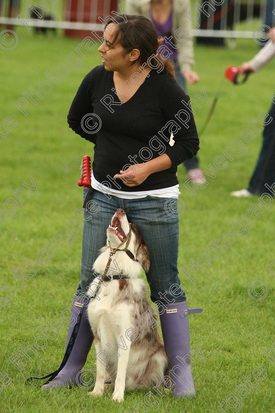 AWC 7259 
 Keywords: 2010, Kent, MDS Shows Ltd, Paws in the Park, arena demonstrations, paddock wood